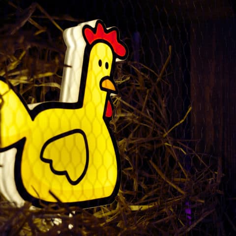 Faux Neon Animal Signs with Custom Vinyl Decals. Neon Chicken Signs from NeonPlus
