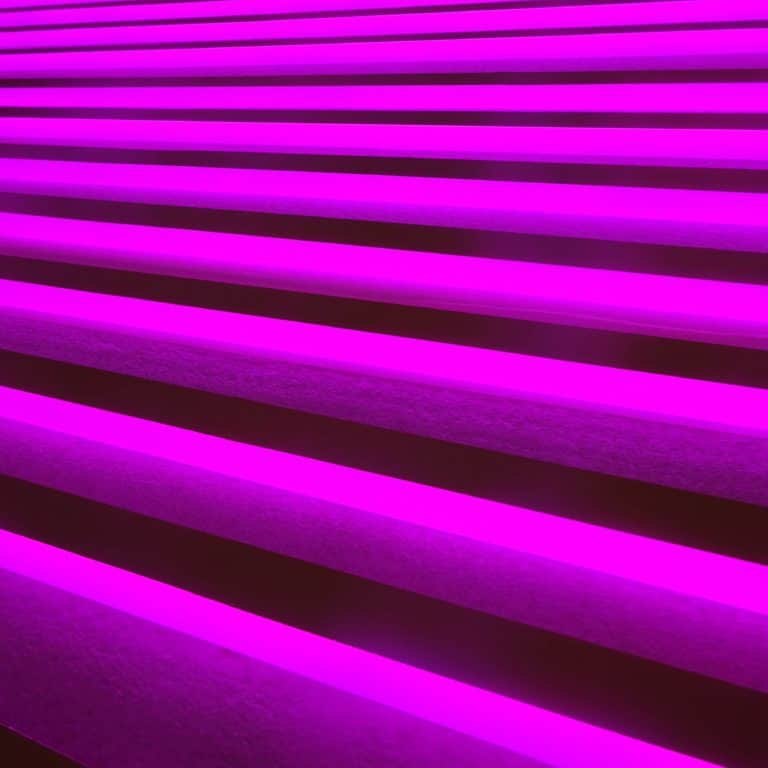 Pink faux neon strips for designer store signs and visual merchandising.